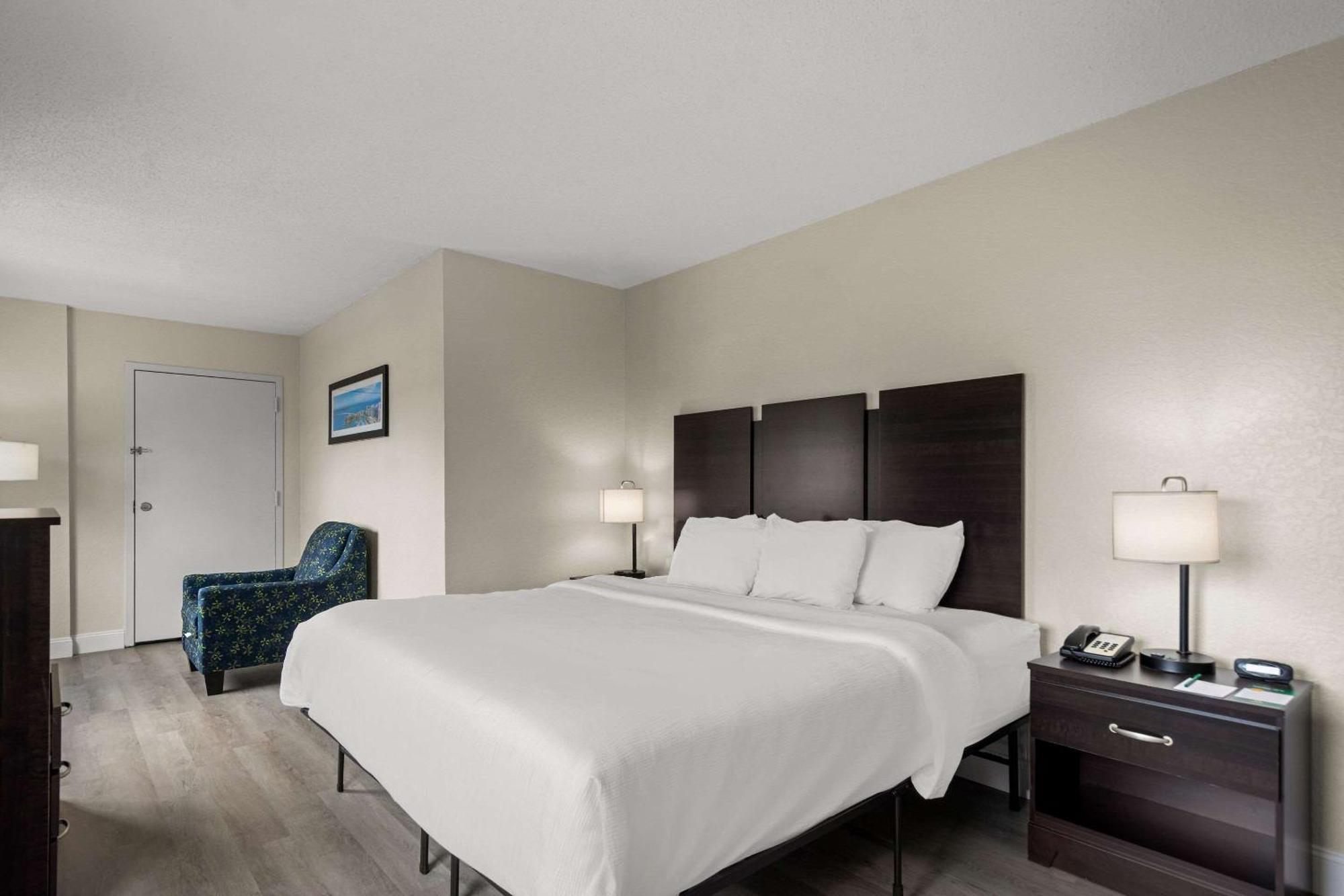 Quality Inn Sarasota I-75 Vamo Bagian luar foto